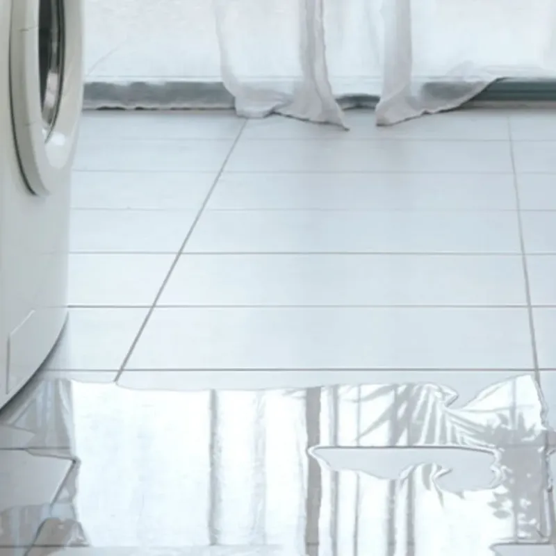 Appliance Leak Cleanup in Fairburn, GA
